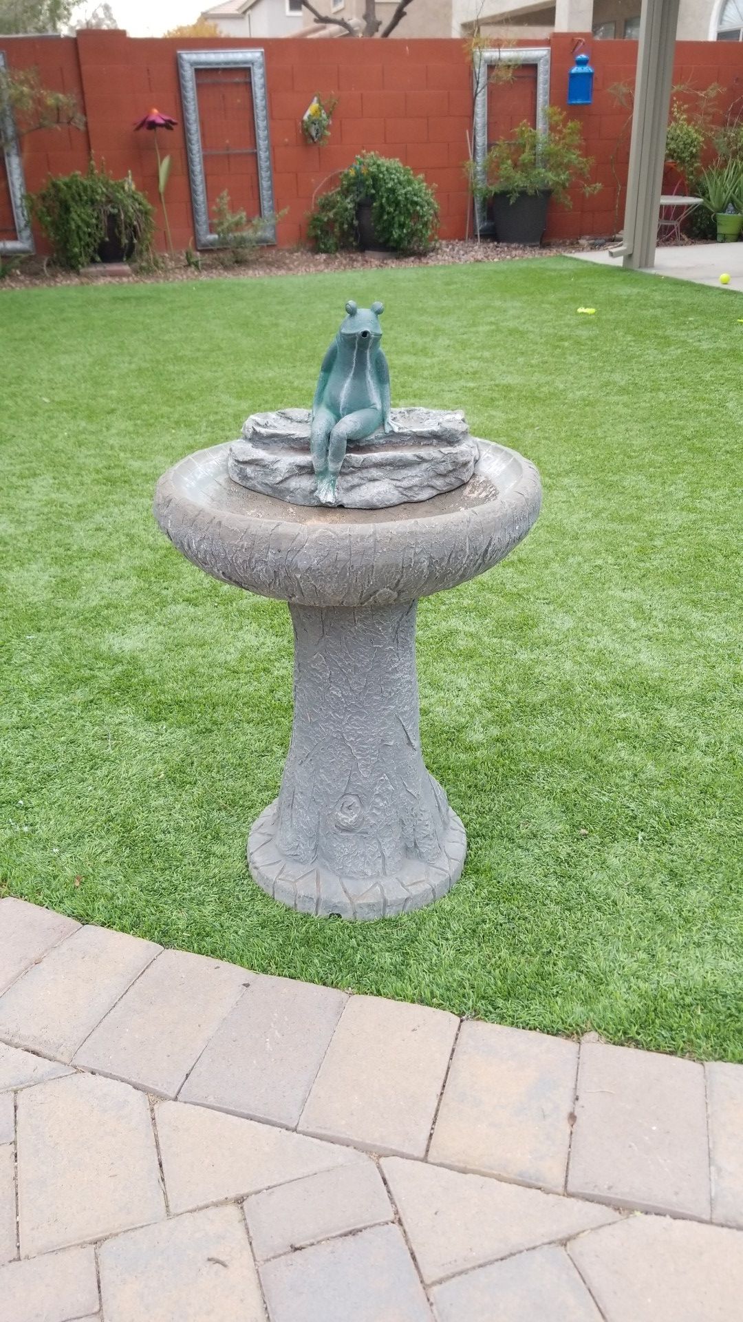 Adorable frog bird bath/fountain