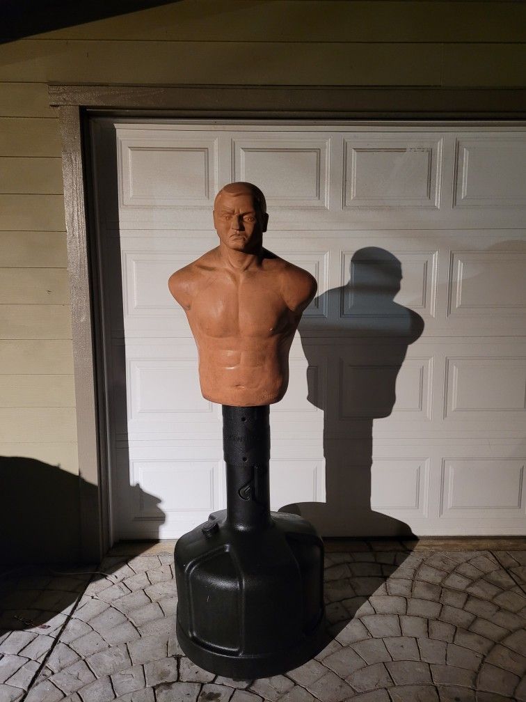 Dummy Bob π Punching π Kicking Dummy