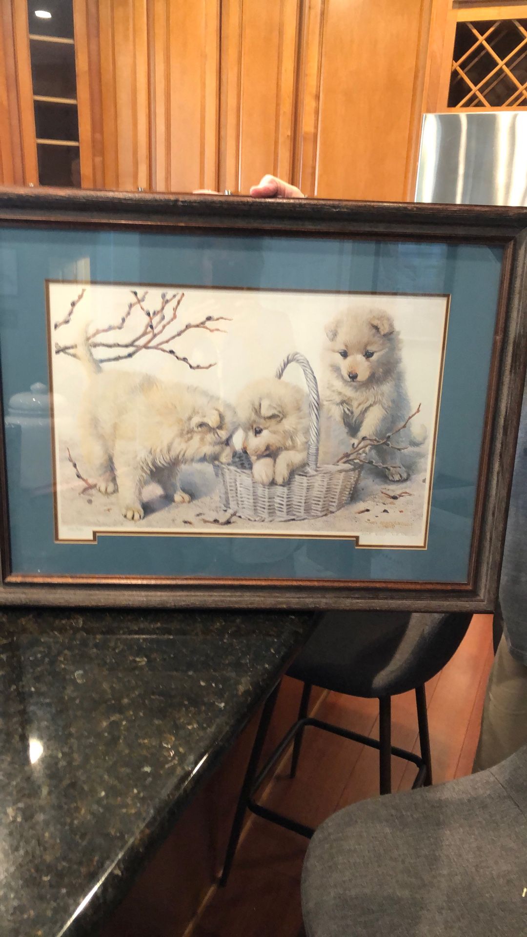 Samoyed Framed Basket Case Signed Print