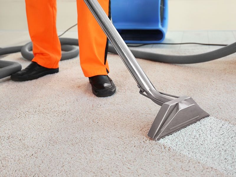 Carpet Steam Cleaner Upholstery Serv/machine Cleaning