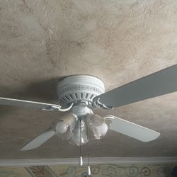 Ceiling Fan 