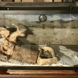 Large Reptile Glass Tank 