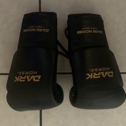 Dark Horse 16ozBoxing Gloves 