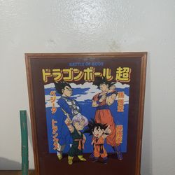 Dragon Balls Z Frame 