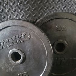 Ivanko 35lbs weights