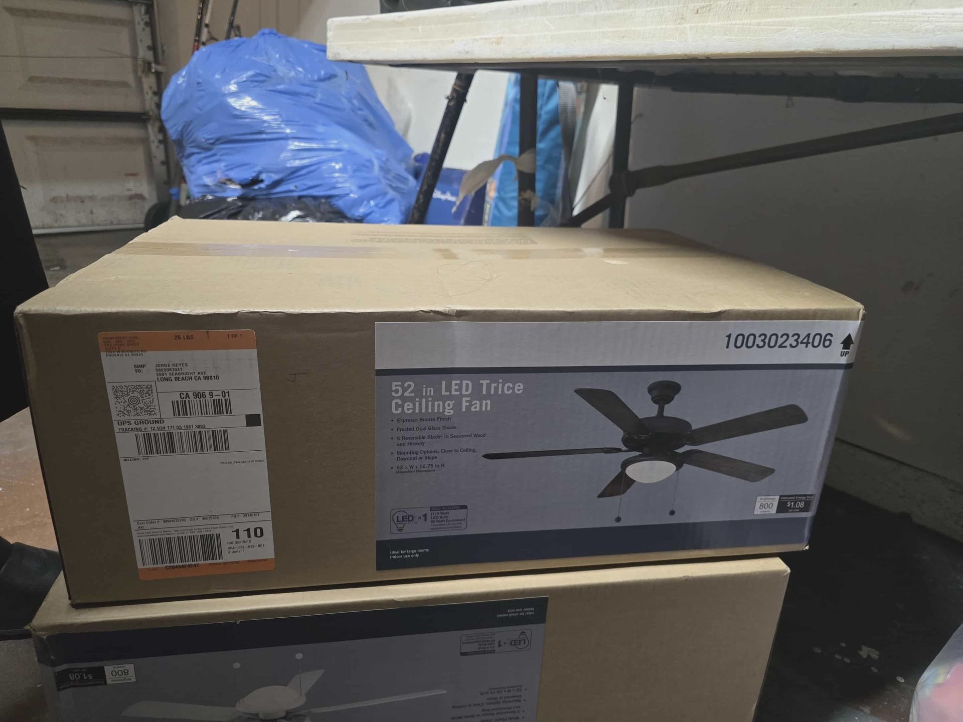 Ceiling fan