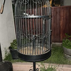 Bird Cage 