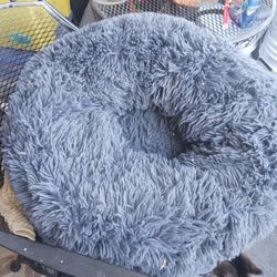 Cama Para Gato  Esta  Grande Aquí En San Bernardino 