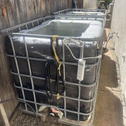 IBC Totes For Fish Raising 