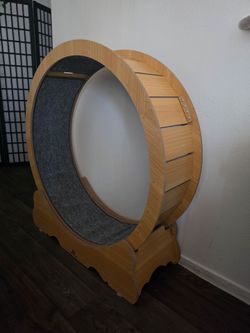 Cat exercise wheel