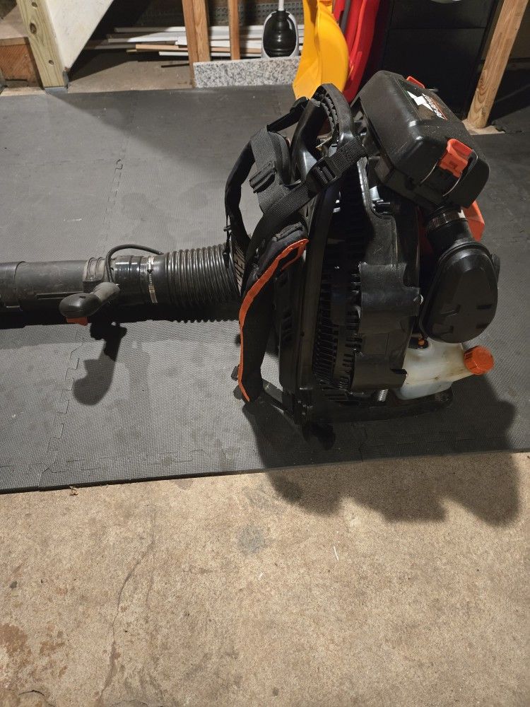 Weed Wacker And Leaf Blower ECHO brand