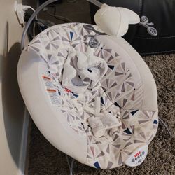 Baby Bouncer