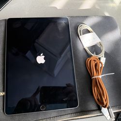 iPad Pro 10.5 (1st Gen)