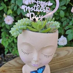 💝SUCCULENTS FLOWER ARRANGEMENTS🪴