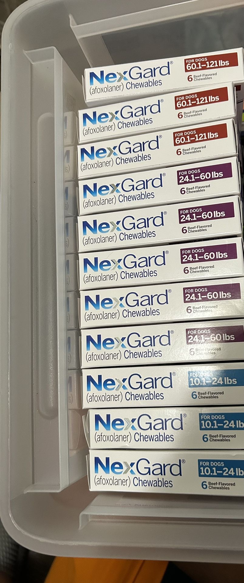 Flea and Tick Shampoo