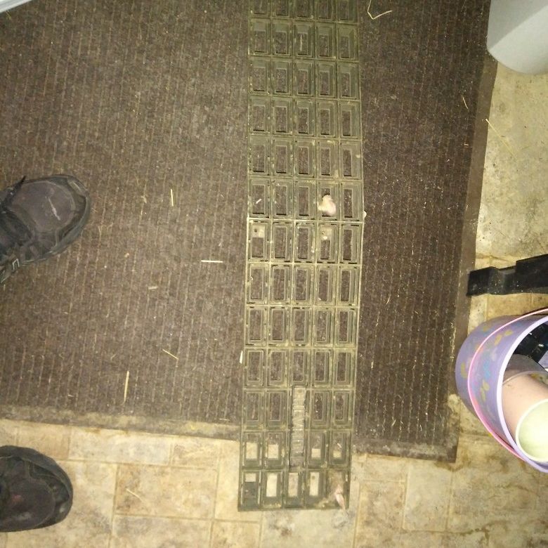 Chevy Grill
