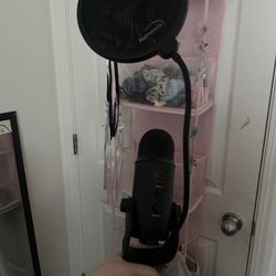 Blue Yeti Mic 