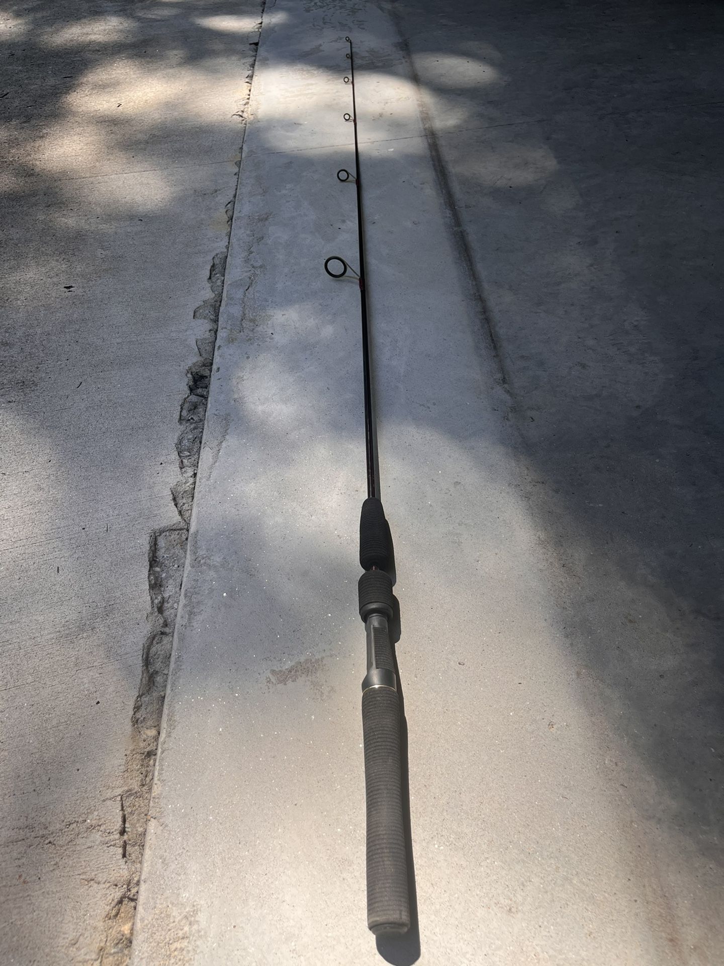 Fishing - Berkley Bionix Pulse Rod