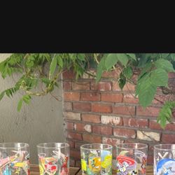 Disney Collector Cups  