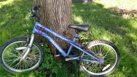 Murry bike