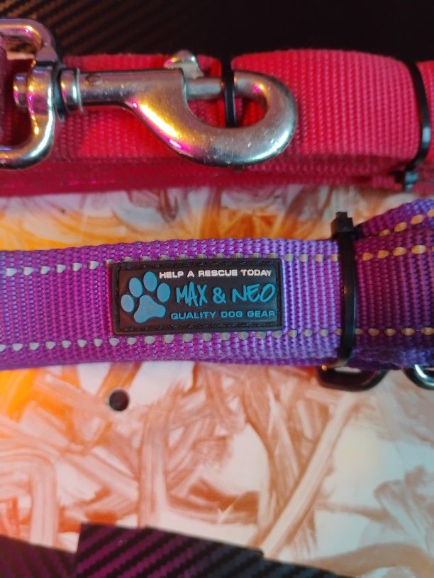 Dog Leash In Great Condition One Red The Other Purple..