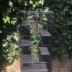 Animal Cage 100$