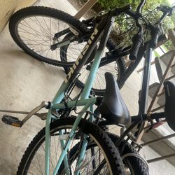 Nishiki & Schwinn Bike For Sale