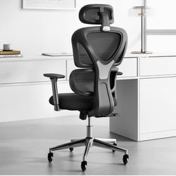 Ergonomic Home Office Chair