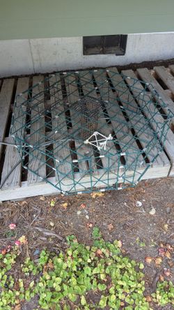 McKay crab pot