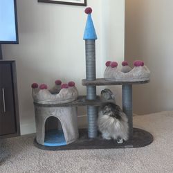 Kitten Castle