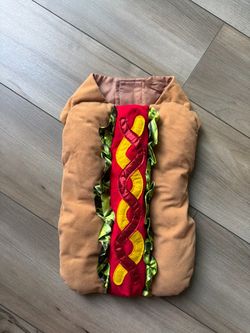 dog costume