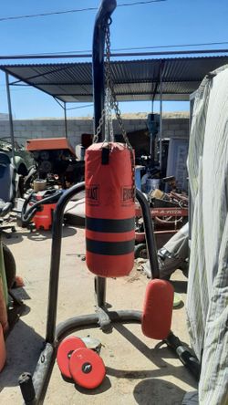 Everlast Youth Punching Bag with Stand