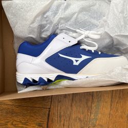 Mizuno Spikes Baseball Softball