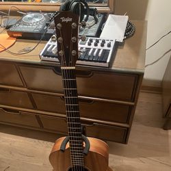 Gs Mini Koa + Case 