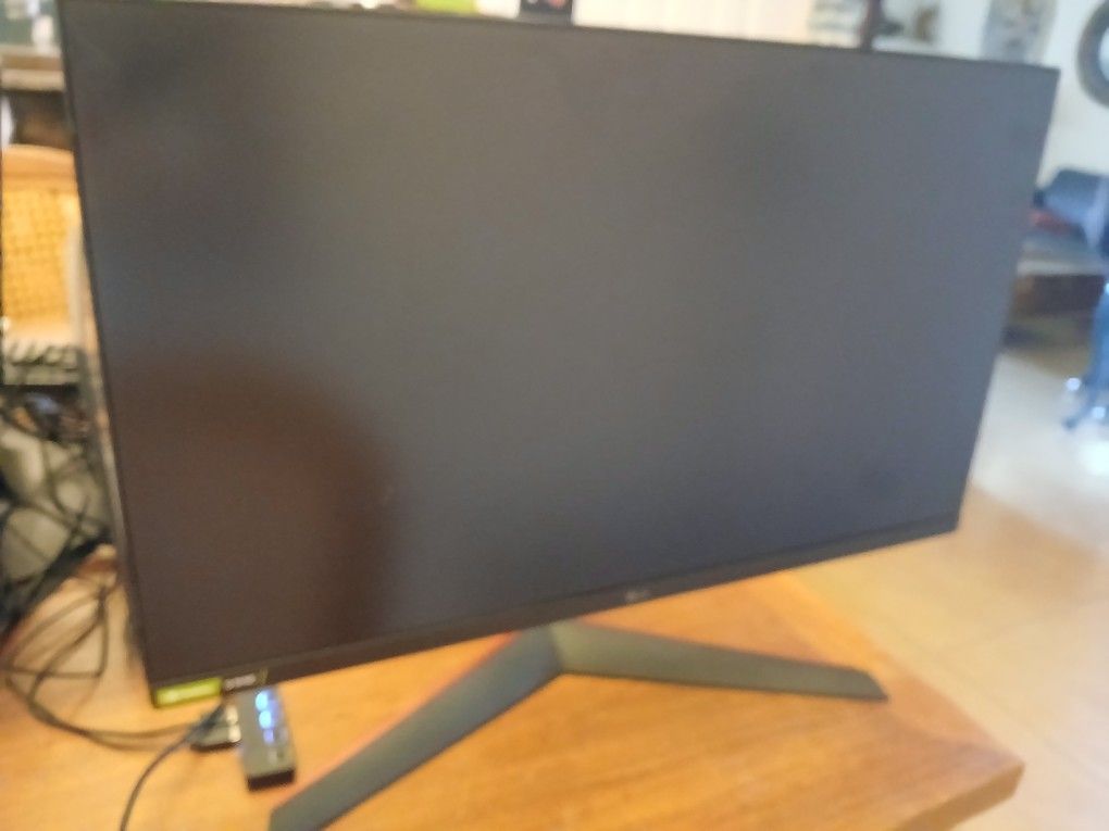 LG Computer Monitor Damaged Screen
