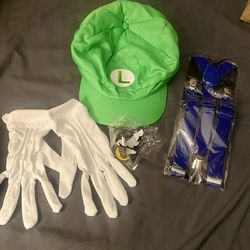 Halloween Costume Luigi