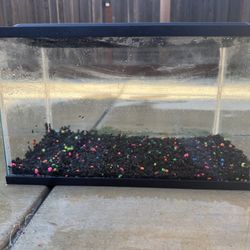 10 Gallon Fish Tank 