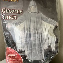 Halloween Ghost Costume 