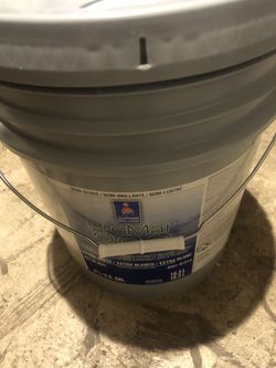 5  Gallons Paint 