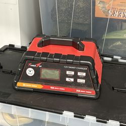 12v Smart charger 