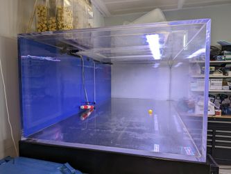 600 Gallon Acrylic Fish Tank for Sale in Colma CA OfferUp