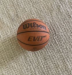 Wilson Evo Nxt Indoor game ball