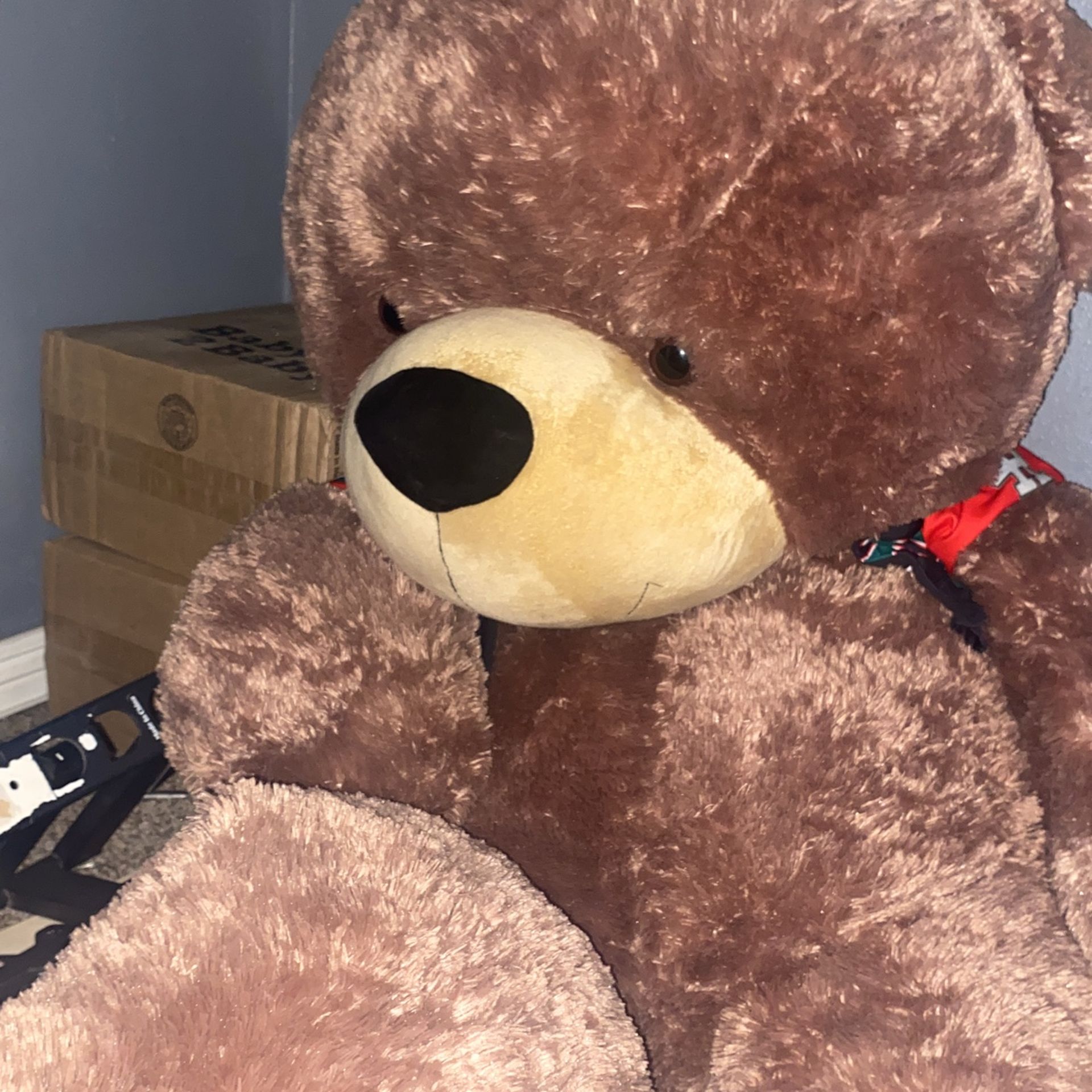 Big teddy bear