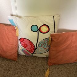 5 Pillows Decorative $5/1
