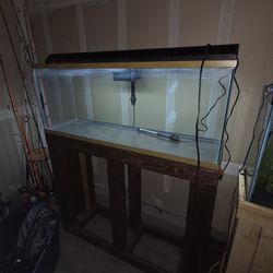 55 Gal Aquarium 