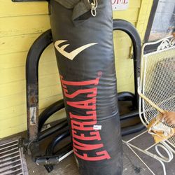 Punching Bag With Stand 