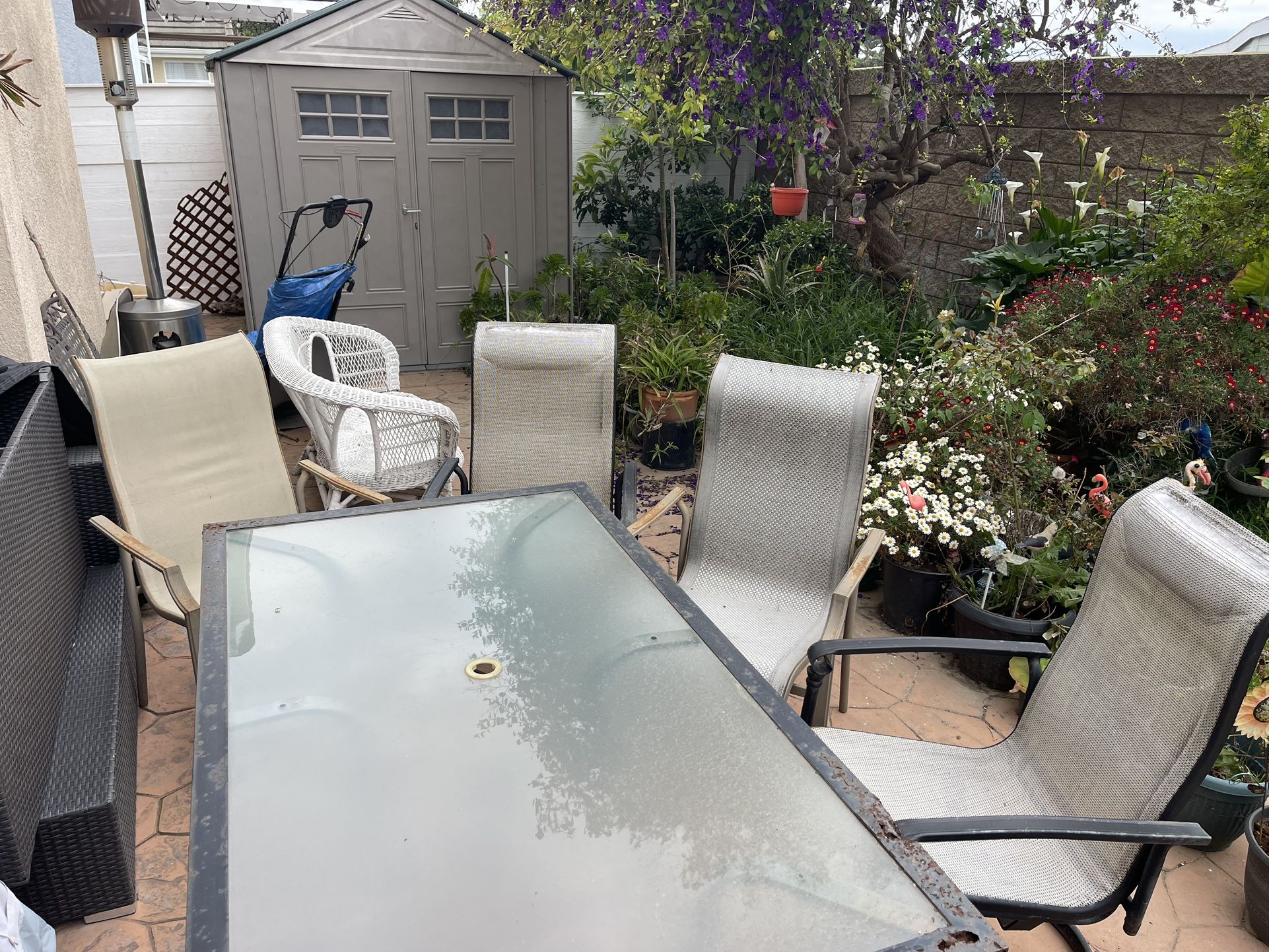 Patio Chairs / Set Of 3