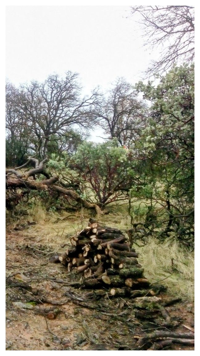 U Wood Portz Wood!!. Fire Wood 4 Sale