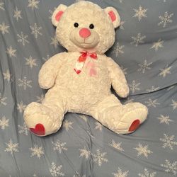 White Teddy Bear 