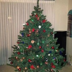 BUY MY CHRISTMAS TREE